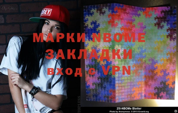 бошки Новодвинск