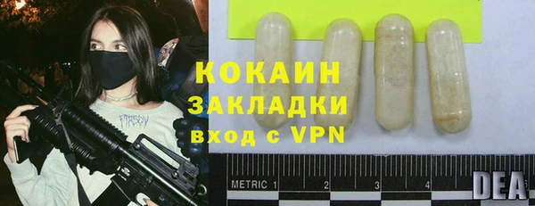 бошки Новодвинск