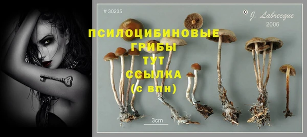 стафф Нея