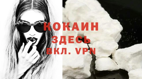 бошки Новодвинск