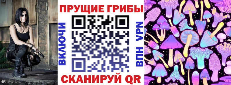 Купить закладки  Аргун  Галлюциногенные грибы GOLDEN TEACHER 